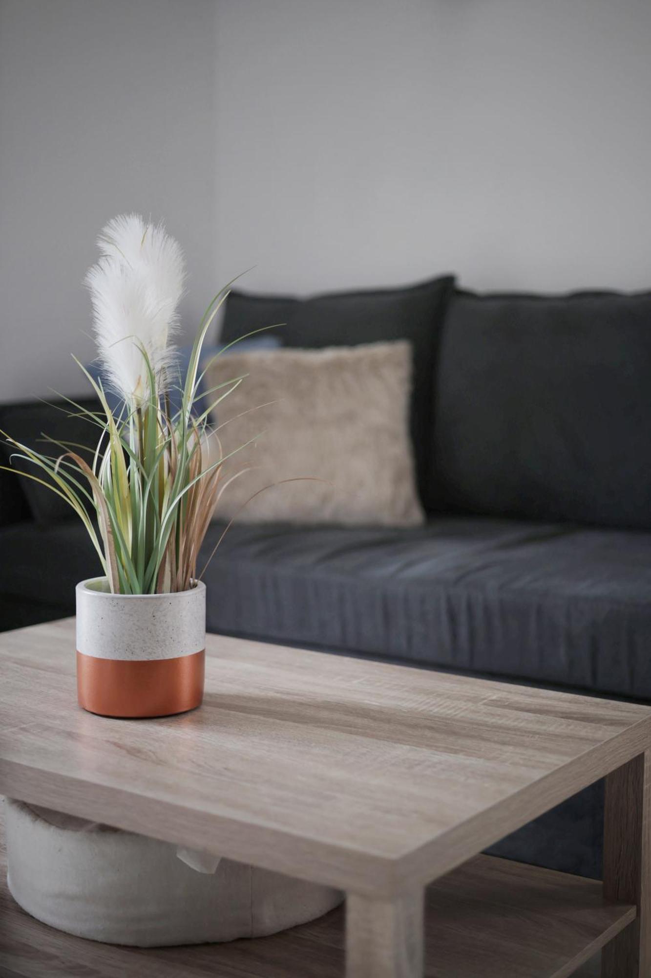 Appartement Familial Avec Jardin Ensoleille Dans La Cite Des Potiers Vallauris Exteriér fotografie